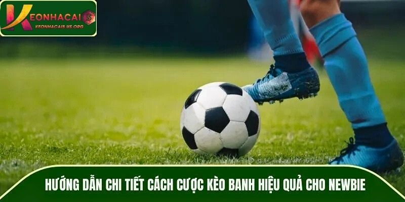 Hướng dẫn chi tiết cách cược kèo đồng banh hiệu quả cho newbie