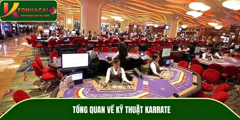 Tổng quan về kỹ thuật Karrate