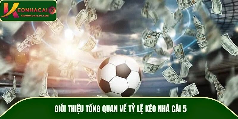 Giới thiệu tổng quan về tỷ lệ kèo nhà cái 5